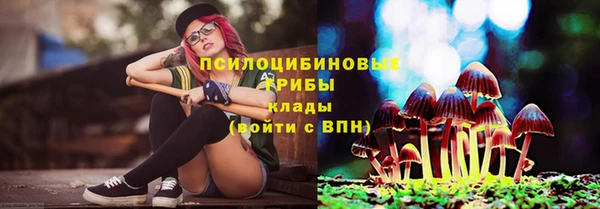 мдпв Касимов
