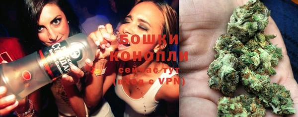 мдпв Касимов