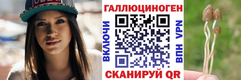 Купить  Суджа  Псилоцибиновые грибы мицелий 